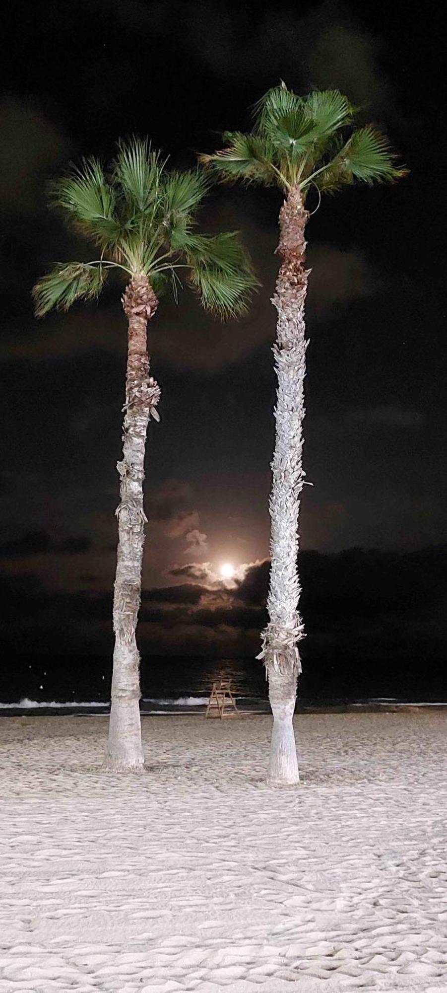 Urbanizacion Puerto Romano - Playa ラ・マタ エクステリア 写真