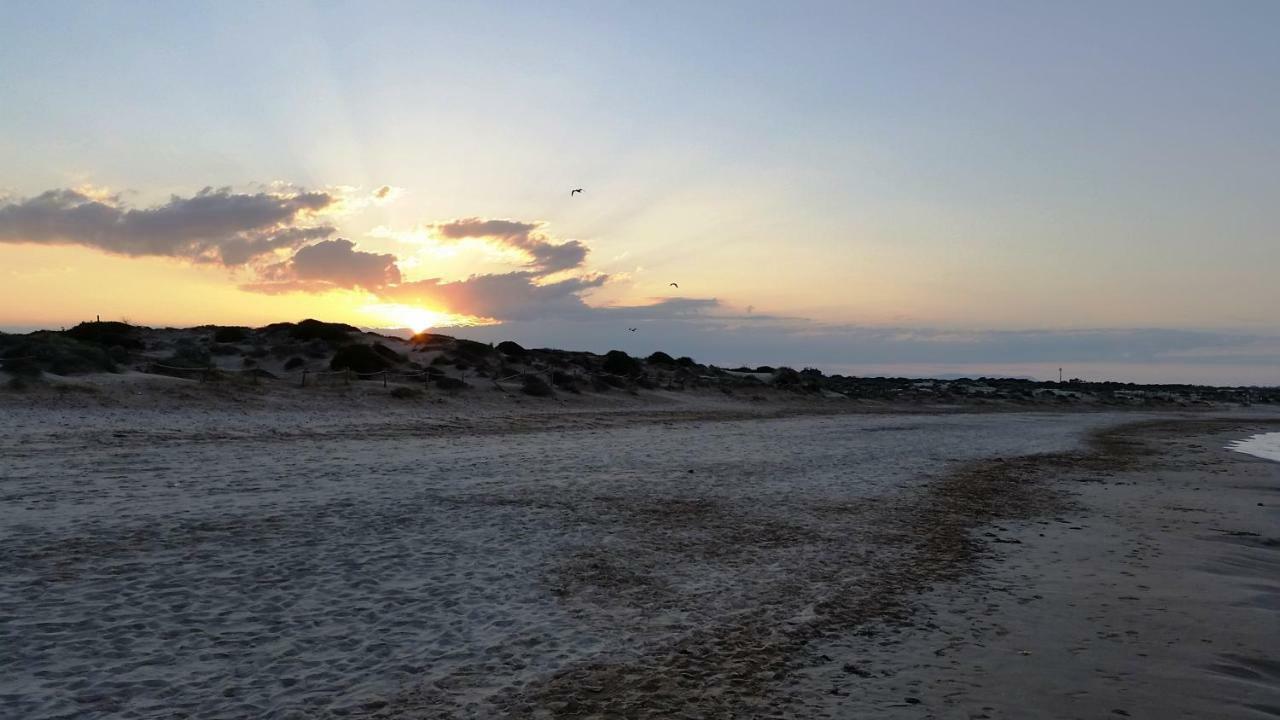 Urbanizacion Puerto Romano - Playa ラ・マタ エクステリア 写真